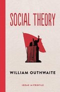 Social Theory: Ideas in Profile