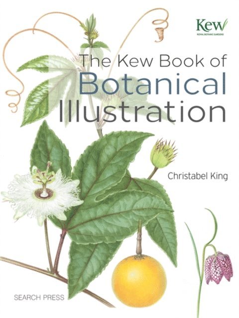 Christabel King - Kew Book of Botanical Illustration, E-bok