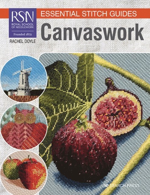 Rachel Doyle - RSN Essential Stitch Guides: Canvaswork, E-bok