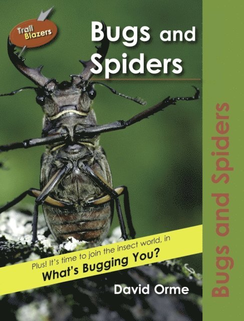 Bugs and Spiders