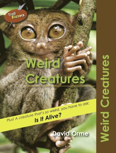 Weird Creatures