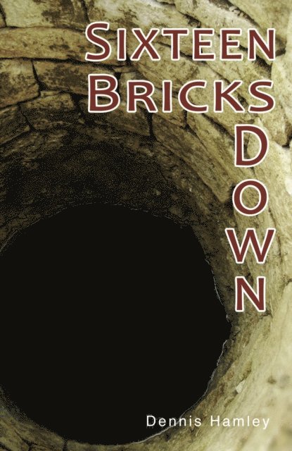 Dennis Hamley - Sixteen Bricks Down, E-bok