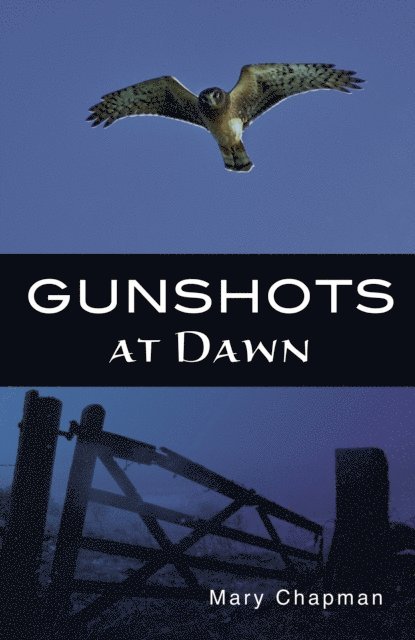 Mary Chapman - Gunshots at Dawn, E-bok