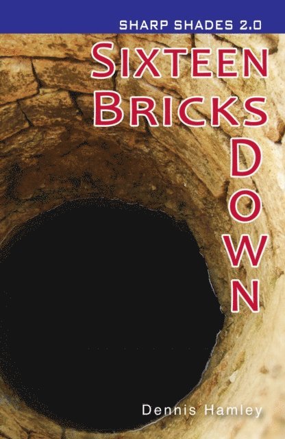 Dennis Hamley - Sixteen Bricks Down  (Sharp Shades), E-bok