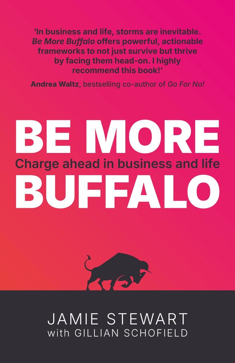 Jamie Stewart - Be More Buffalo, Häftad