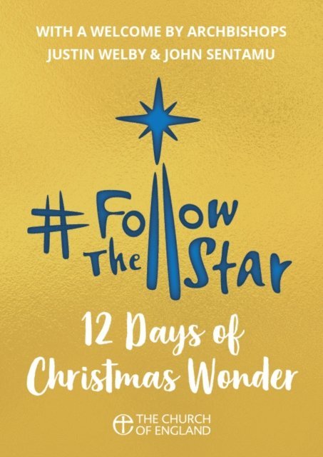 Mina Munns - Follow the Star 2019 (single copy), E-bok