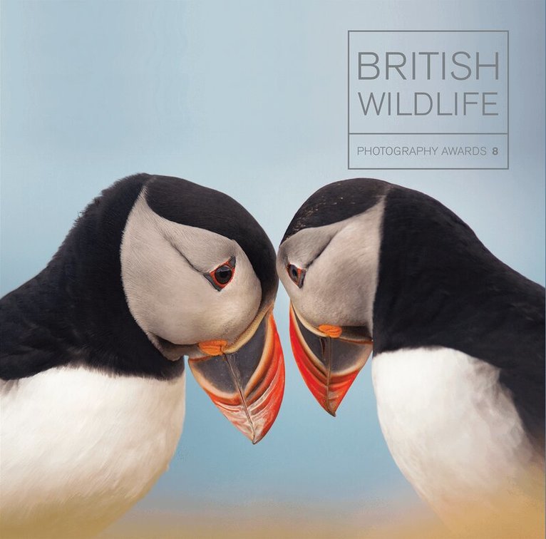 Maggie Gowan - British Wildlife Photography Awards 8, Inbunden