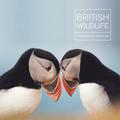 British Wildlife Photography Awards 8