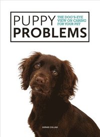 Puppy Problems