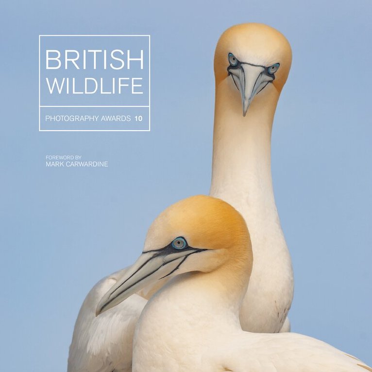 Maggie Gowan - British Wildlife Photography Awards 10, Inbunden