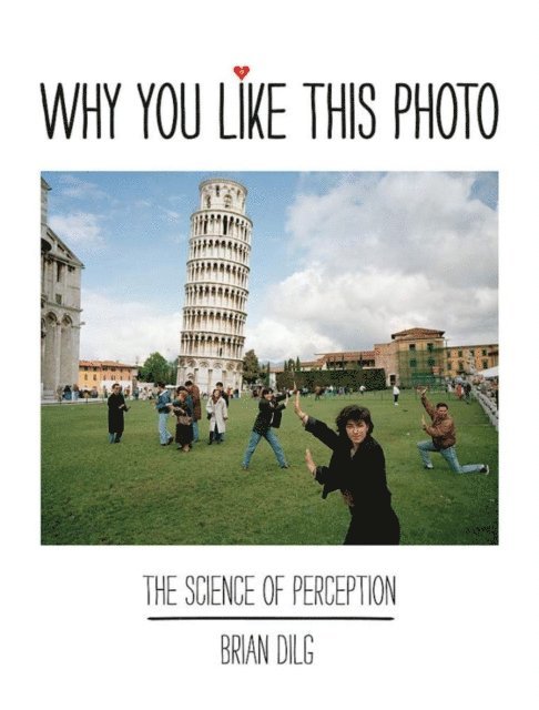Brian Dilg - Why You Like This Photo, E-bok