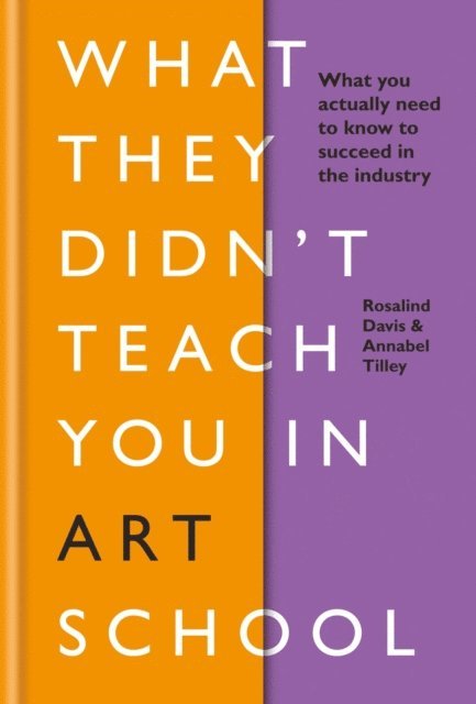 Annabel Tilley, Rosalind Davis - What They Didn't Teach You in Art School, E-bok