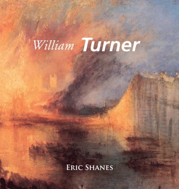 Shanes Eric Shanes - Turner, E-bok