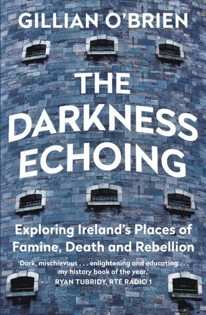 Dr Gillian O'Brien - Darkness Echoing, E-bok