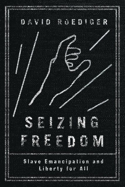 David R Roediger - Seizing Freedom, E-bok