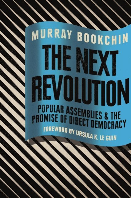 Murray Bookchin, Debbie Bookchin, Blair Taylor - The Next Revolution, E-bok