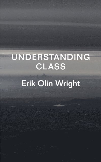 Erik Olin Wright - Understanding Class, E-bok
