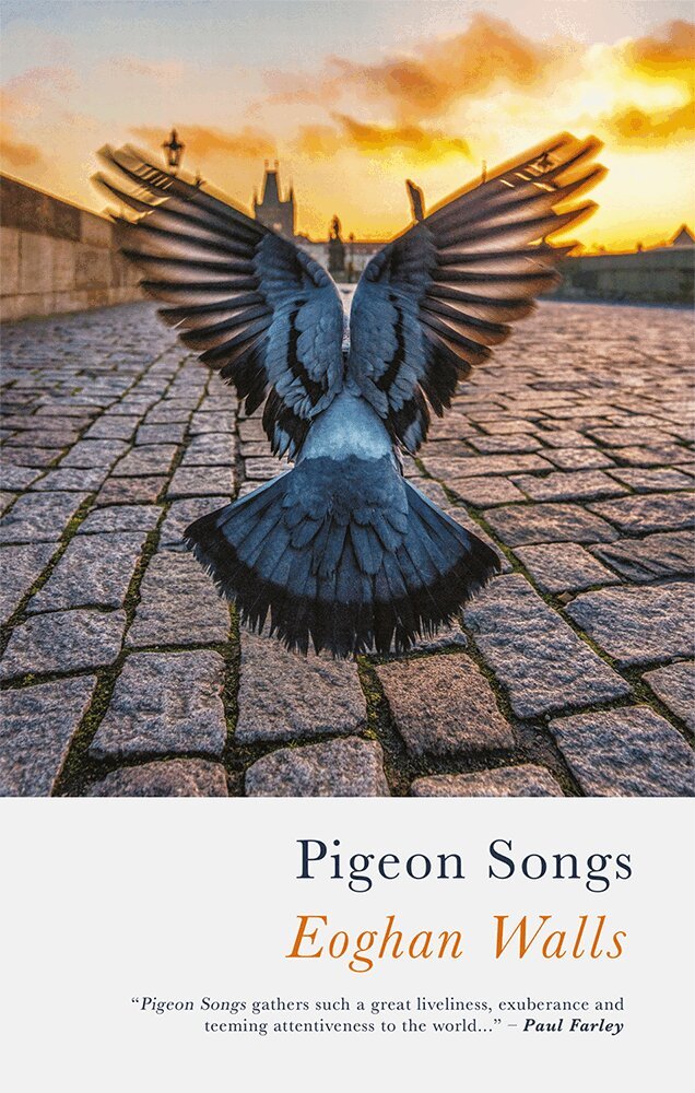 Eoghan Walls - Pigeon Songs, Häftad