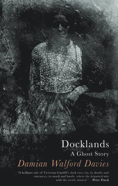 Damian Walford Davies - Docklands, E-bok