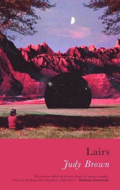 Judy Brown - Lairs, E-bok