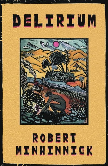 Robert Minhinnick - Delirium, E-bok
