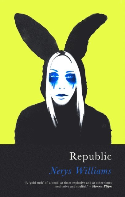 Nerys Williams - Republic, E-bok