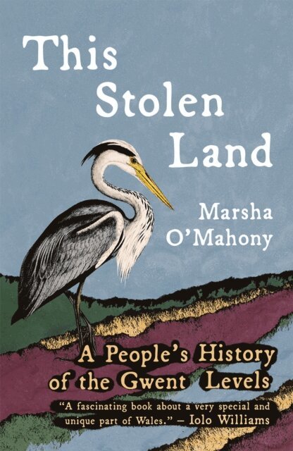 Marsha O'Mahony - This Stolen Land, E-bok