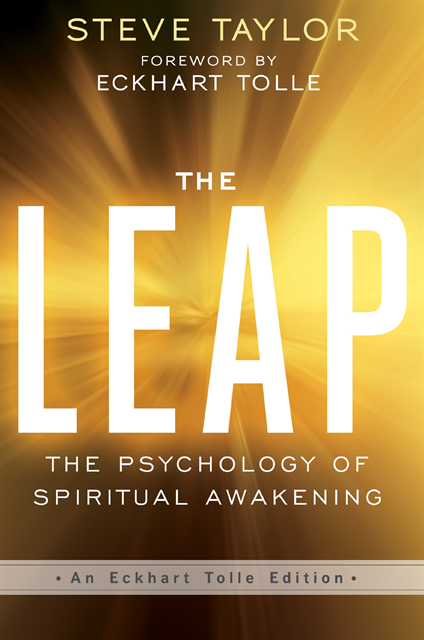 Steve Taylor - Leap, E-bok
