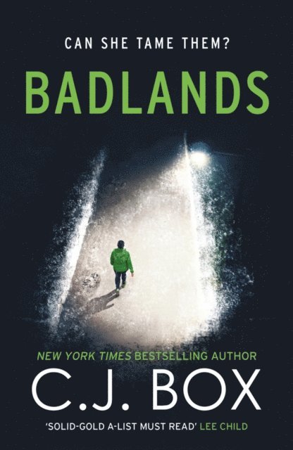 C.J. Box - Badlands, E-bok