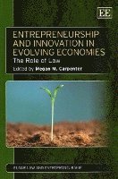 Megan M. Carpenter - Entrepreneurship and Innovation in Evolving Economies, Häftad