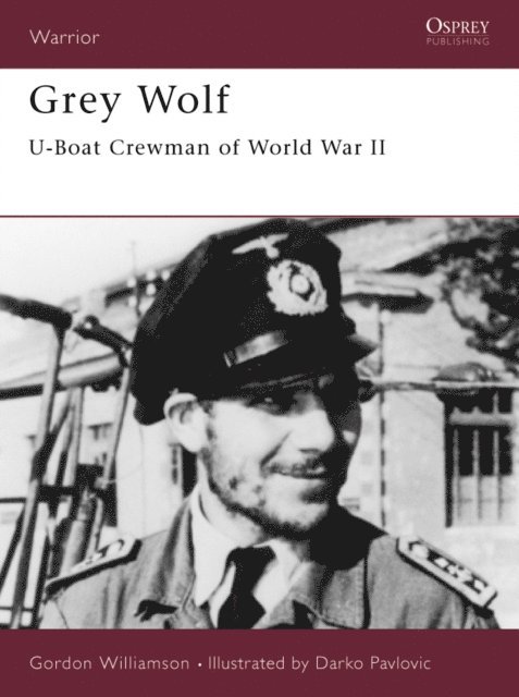 Gordon Williamson - Grey Wolf, E-bok