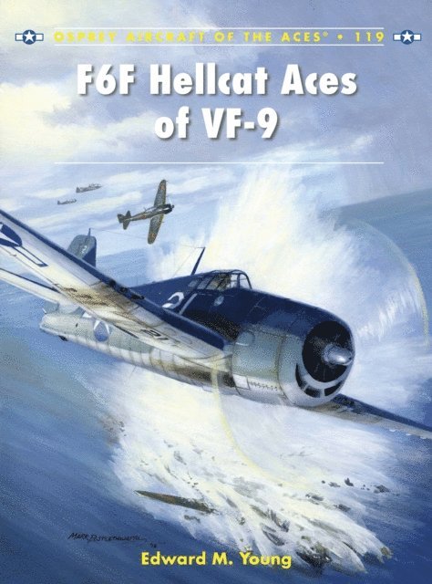 Edward M. Young - F6F Hellcat Aces of VF-9, E-bok