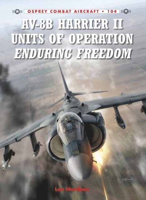 Lon Nordeen - AV-8B Harrier II Units of Operation Enduring Freedom, E-bok