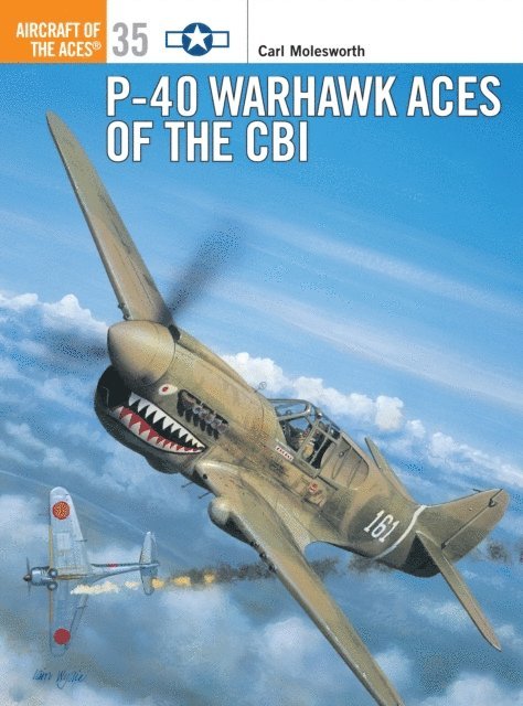 Carl Molesworth - P-40 Warhawk Aces of the CBI, E-bok