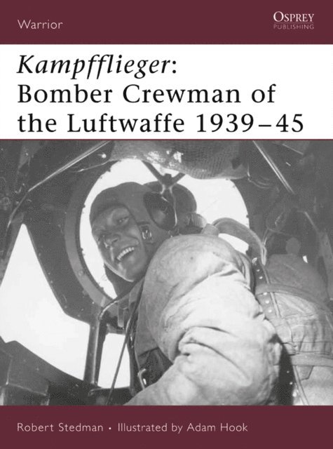 Robert F Stedman - Kampfflieger, E-bok