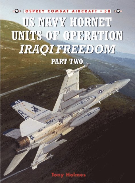 Tony Holmes - US Navy Hornet Units of Operation Iraqi Freedom (Part Two), E-bok