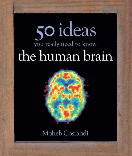 Moheb Costandi - 50 Human Brain Ideas You Really Need to Know, E-bok