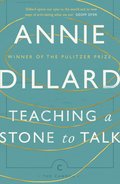 Teaching a Stone to Talk