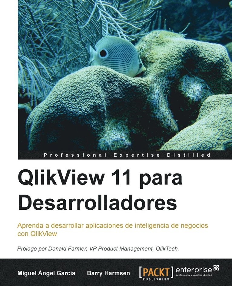 Miguel Angel Garcia, Barry Harmsen - QlikView 11 para Desarrolladores, Häftad