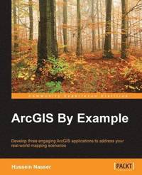 ArcGIS By Example