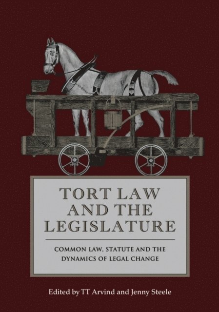 TT Arvind, Jenny Steele - Tort Law and the Legislature, E-bok
