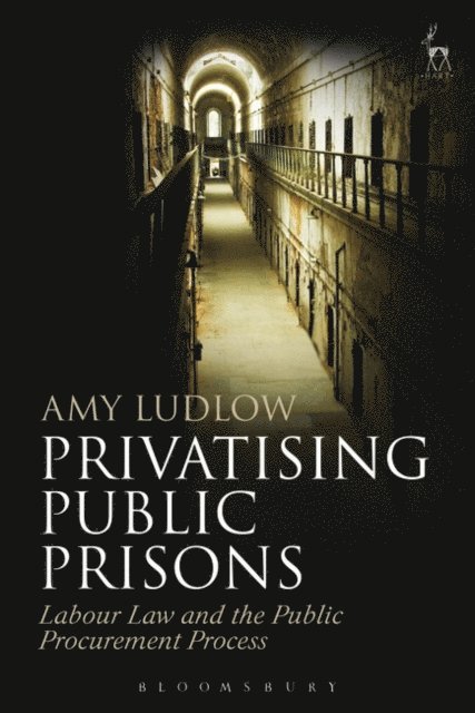 Amy Ludlow - Privatising Public Prisons, E-bok