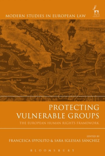 Francesca Ippolito, Sara Iglesias Sánchez - Protecting Vulnerable Groups, E-bok