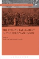 Nicola Lupo, Giovanni Piccirilli - Italian Parliament in the European Union, E-bok
