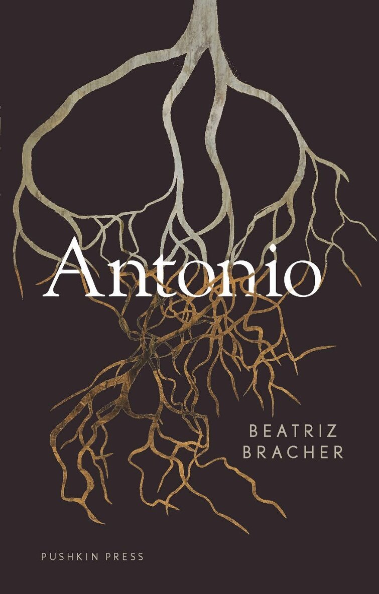 Beatriz Bracher - Antonio, Häftad