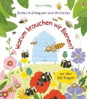 Katie Daynes - Erstes Aufklappen und Verstehen: Warum brauchen wir Bienen?, Kartonnage