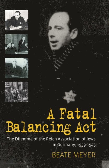 Beate Meyer - Fatal Balancing Act, E-bok