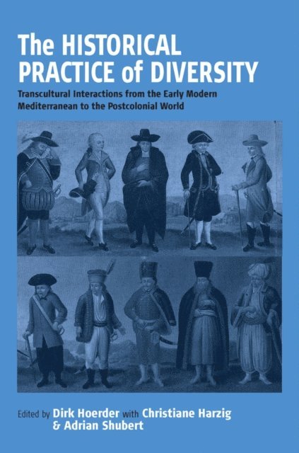 Adrian Shubert, Christiane Harzig, Dirk Hoerder - Historical Practice of Diversity, E-bok