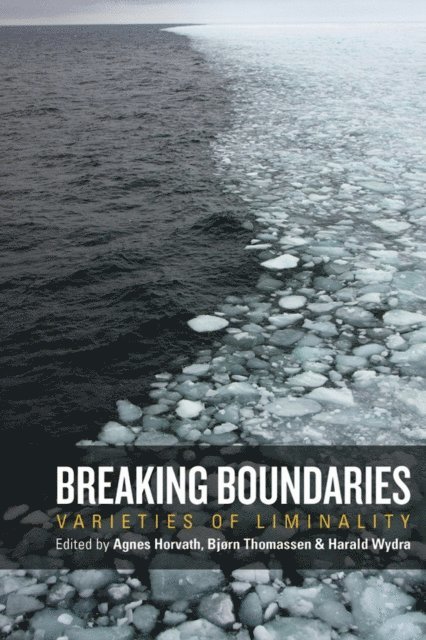 Harald Wydra, Bjorn Thomassen, Agnes Horvath - Breaking Boundaries, E-bok