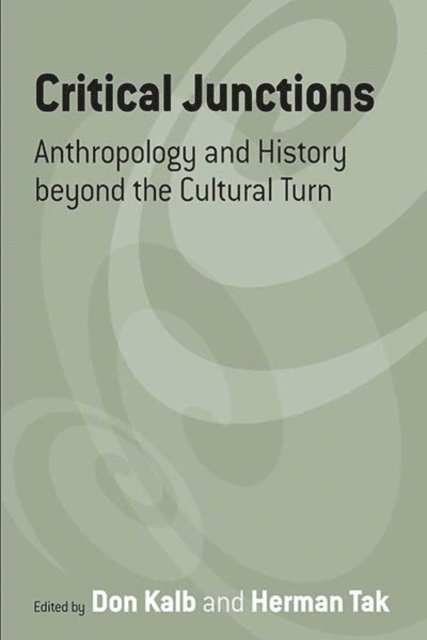 Herman Tak, Don Kalb - Critical Junctions, E-bok